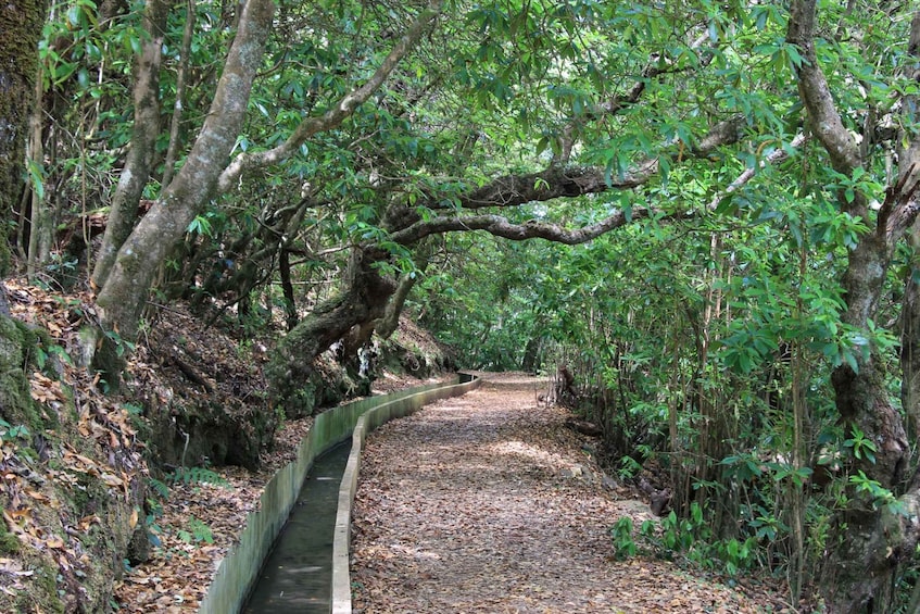 Ribeiro Frio - Portela - Levada do Furado