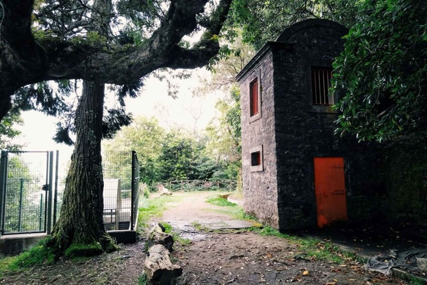 Picture 4 for Activity Ribeiro Frio - Portela - Levada do Furado