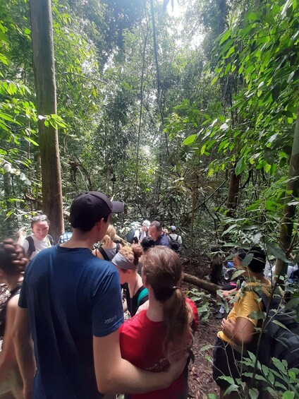 Picture 13 for Activity Bukitlawang Orangutan : 3 Days Group Jungle Trek