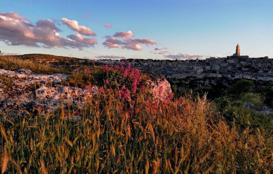 Picture 7 for Activity Matera_Belvedere walking tour