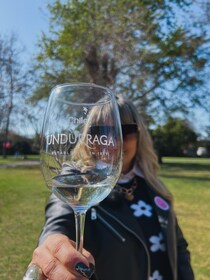 Santiago: Undurraga Winery Tour with Entry and Wine Tasting