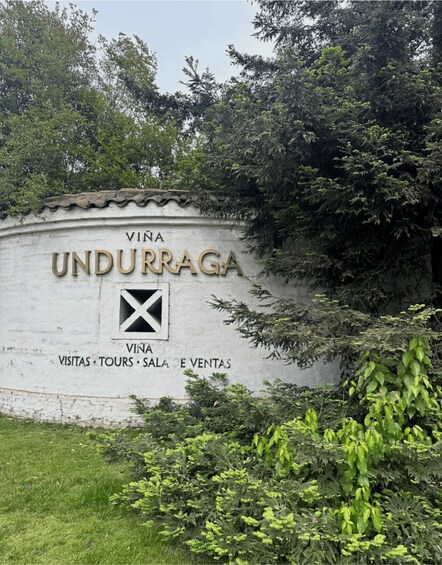 Picture 6 for Activity Santiago: Undurraga Winery Tour with Entry and Wine Tasting