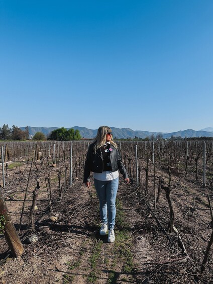 Picture 6 for Activity Santiago: Undurraga Winery Tour with Entry and Wine Tasting