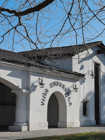 Picture 9 for Activity Santiago: Undurraga Winery Tour with Entry and Wine Tasting