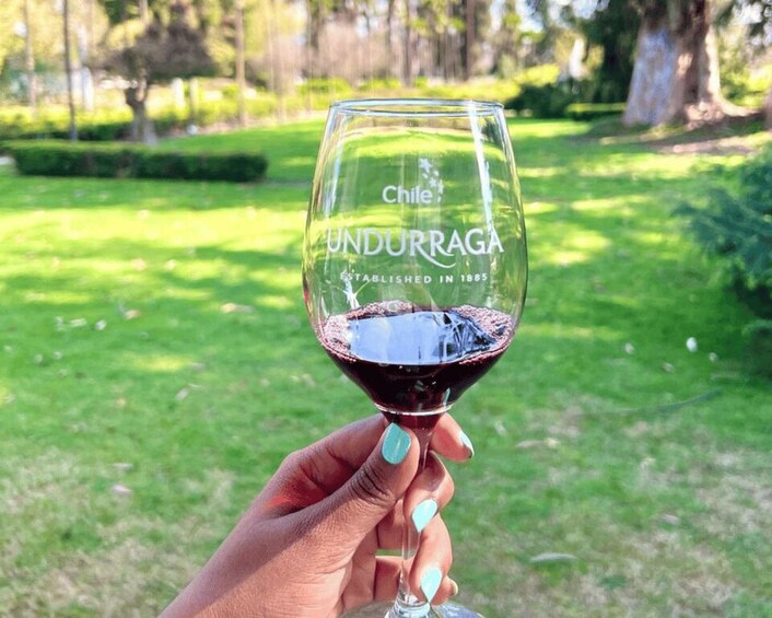 Santiago: Undurraga Winery Tour with Entry and Wine Tasting