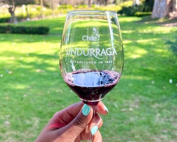Santiago: Undurraga Winery Tour with Entry and Wine Tasting
