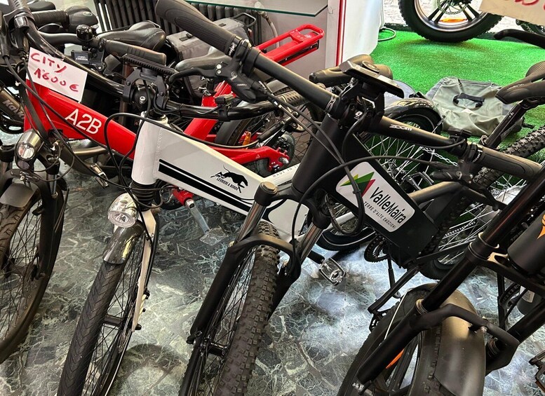 Picture 1 for Activity bike, ebike tandem rent