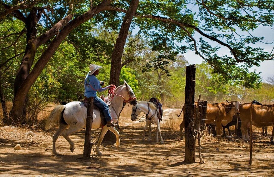 Picture 2 for Activity Combo Zipline, Floating and Horseback riding adventure