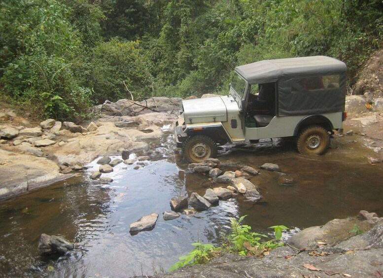 Picture 1 for Activity Munnar: Tea Garden and Elephant Safari Trip by 4x4