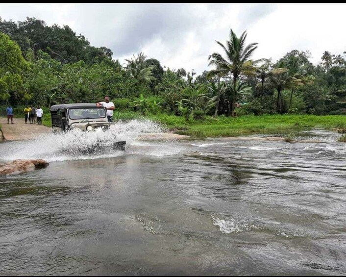 Picture 7 for Activity Munnar: Tea Garden and Elephant Safari Trip by 4x4