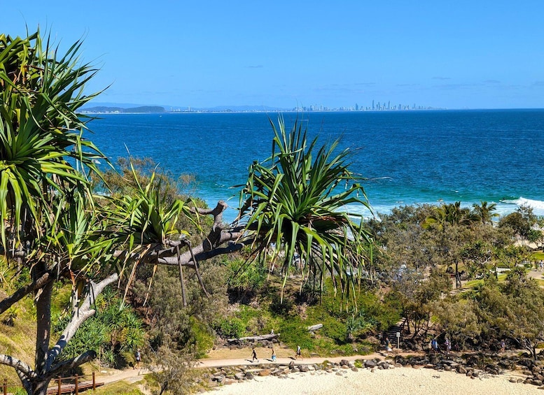 Picture 2 for Activity From Gold Coast: Byron Bay and Bangalow Day Tour