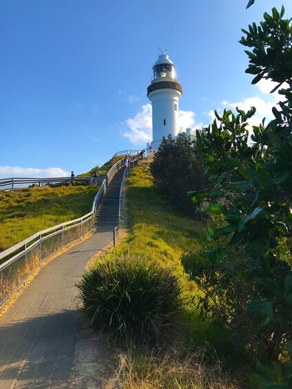 Picture 14 for Activity From Gold Coast: Byron Bay and Bangalow Day Tour