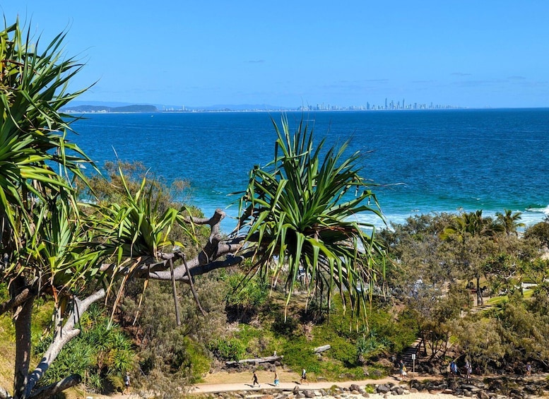 Picture 2 for Activity From Gold Coast: Byron Bay and Bangalow Day Tour