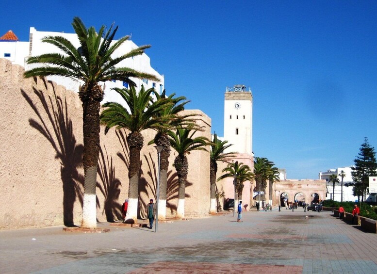 Picture 1 for Activity From Agadir Taghazoute: Essaouira Day Trip with Expert Guide