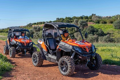 Silves: 90-Minute Dirt & Dust Buggy Tour