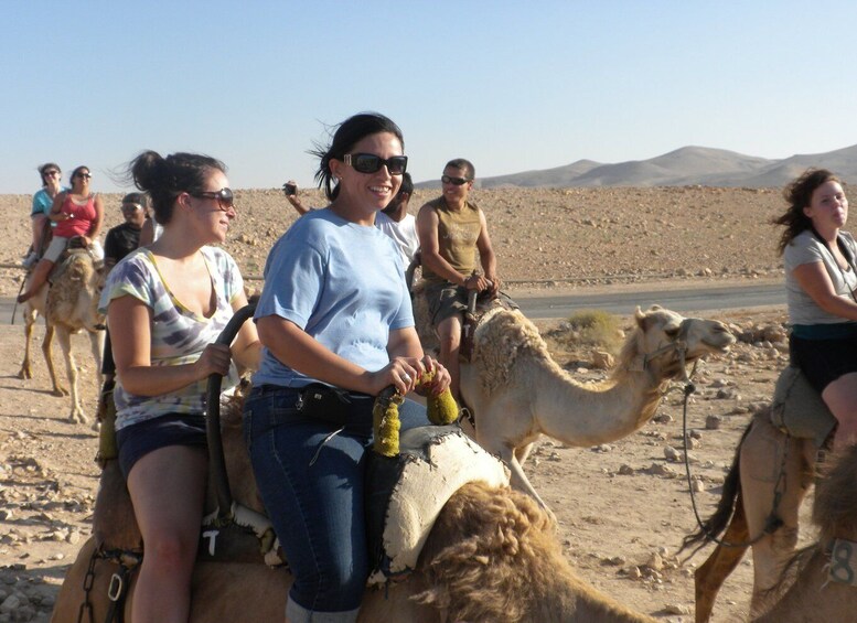 Picture 8 for Activity Agadir: Flamingo River Camel Ride with Optional BBQ Dinner