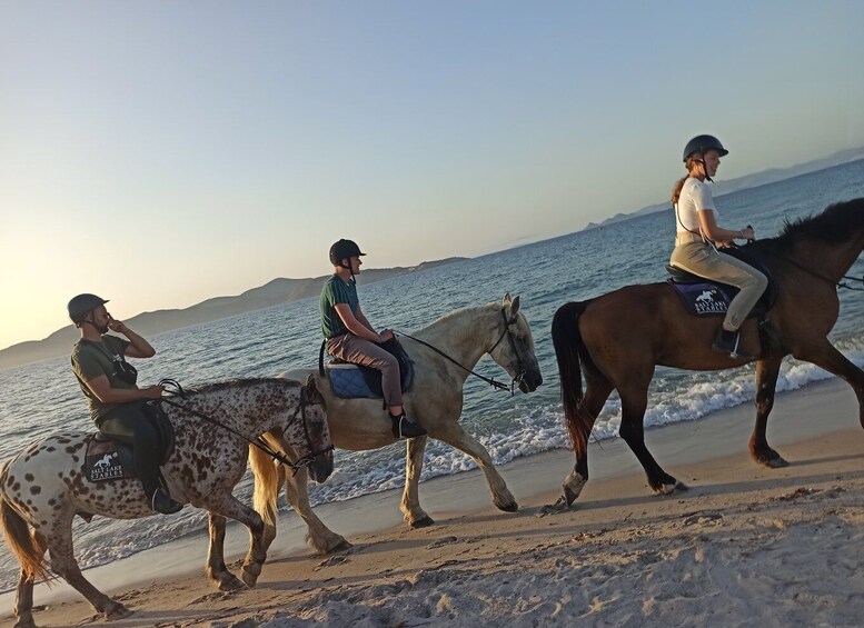 Picture 5 for Activity Kos: Horse Riding Experience on the Beach with Instructor
