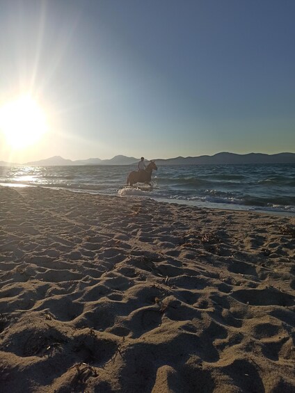 Picture 4 for Activity Kos: Horse Riding Experience on the Beach with Instructor