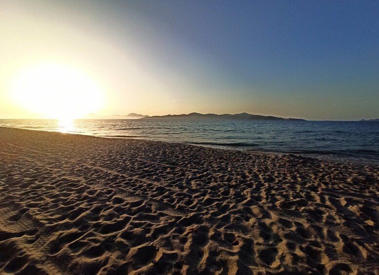 Picture 2 for Activity Kos: Horse Riding Experience on the Beach with Instructor