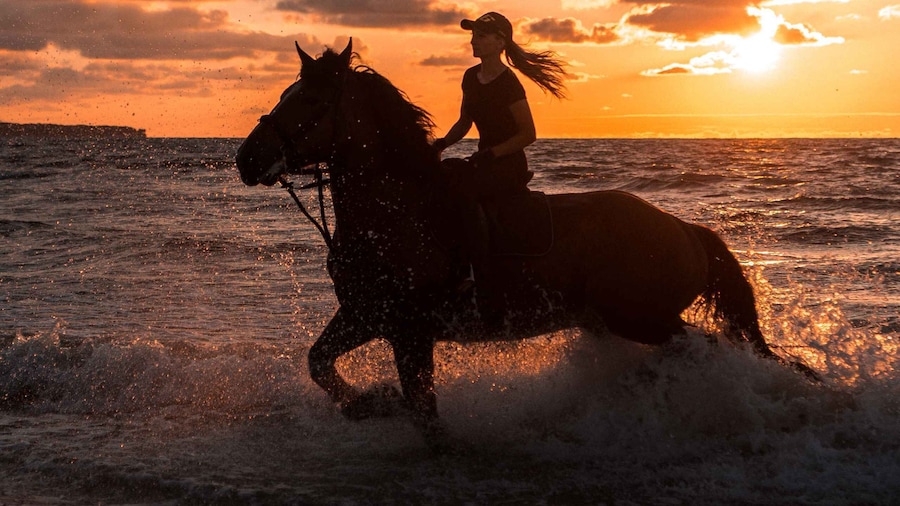Kos: Horse Riding Experience on the Beach with Instructor