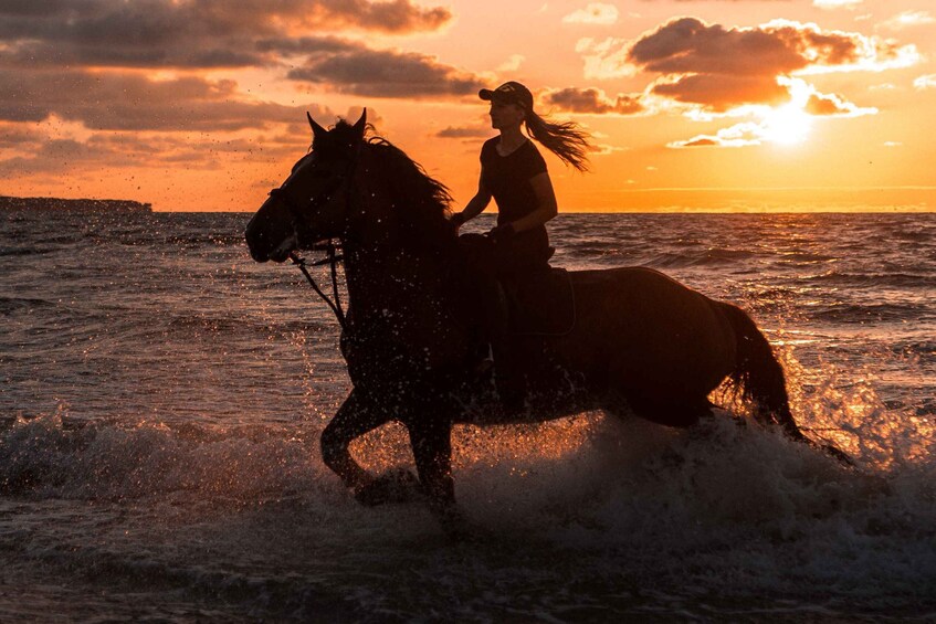 Kos: Horse Riding Experience on the Beach with Instructor