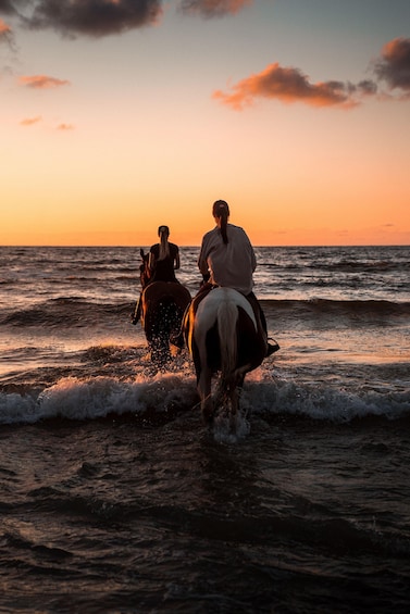 Picture 1 for Activity Kos: Horse Riding Experience on the Beach with Instructor