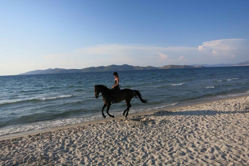 Picture 6 for Activity Kos: Horse Riding Experience on the Beach with Instructor