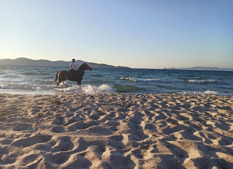 Picture 3 for Activity Kos: Horse Riding Experience on the Beach with Instructor