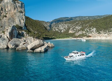 Cala Gonone: tour guiado en barco a la playa de Cala Luna