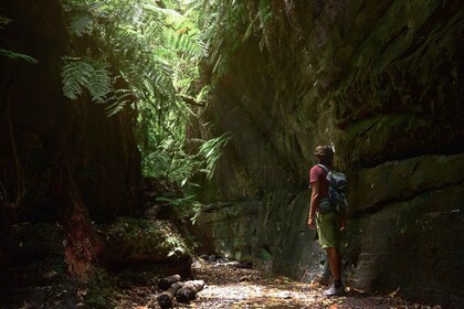 La Palma: Geführte Trekkingtour zum Cubo de la Galga