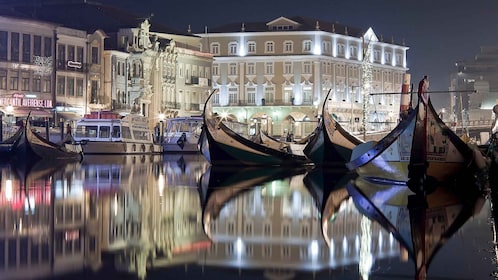 Panoramic Boat City Tour in Aveiro