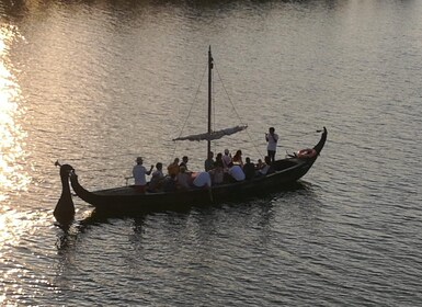 Coimbra: Barca Serrana Traditional Boat Trip