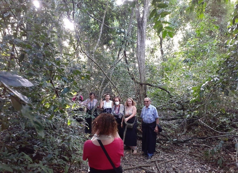 Picture 7 for Activity Diani Beach: Kaya Kinondo cultural and nature experience