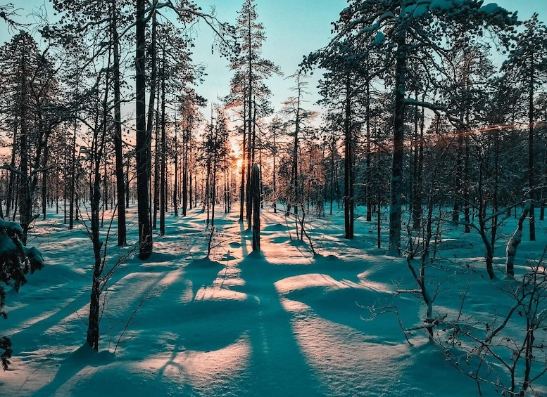 Picture 3 for Activity Pyhätunturi: Guided snowshoeing tour in Pyhä-Luosto