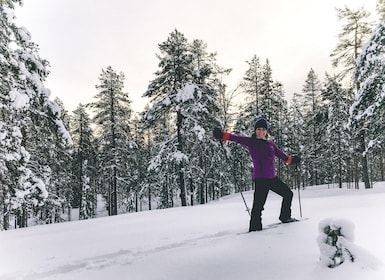 Pyhätunturi: Private snowshoeing tour in Pyhätunturi