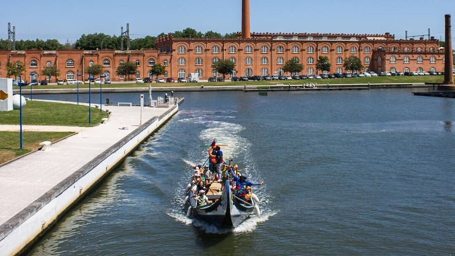 Aveiro: Traditional Moliceiro Boat Cruise