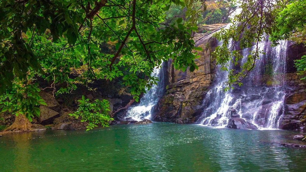 Picture 8 for Activity From Galle/Weligama/Mirissa: Day Trip to Ella Highlands