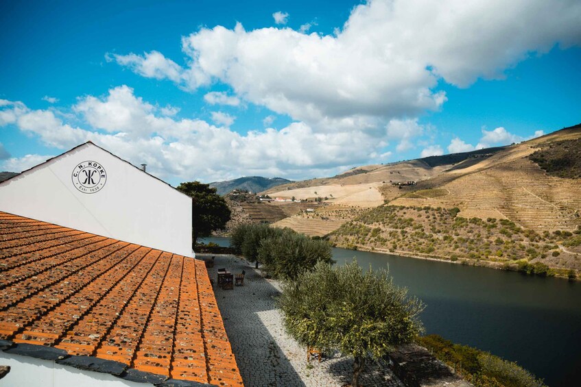 Picture 8 for Activity Douro Valley: Quinta de S. Luiz Winery Tour and Tasting