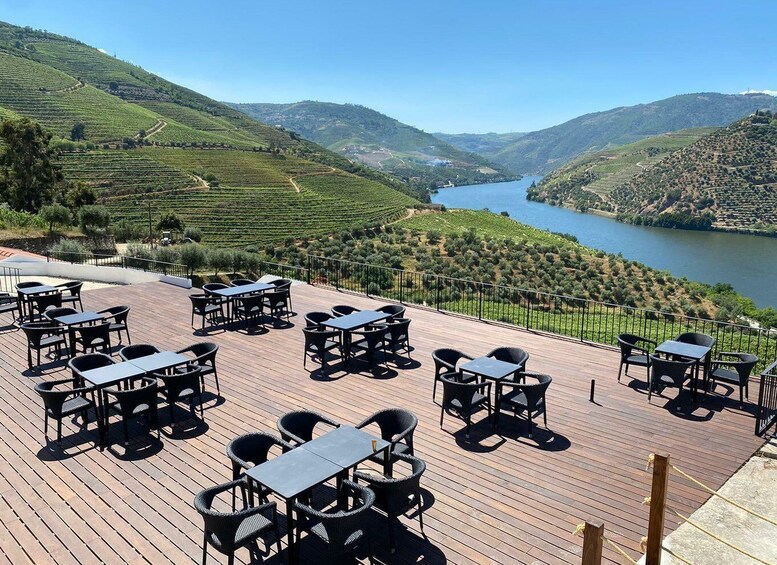 Picture 1 for Activity Douro Valley: Quinta de S. Luiz Winery Tour and Tasting