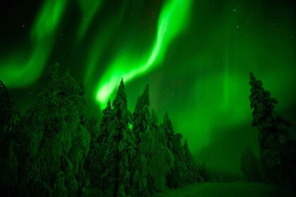 Nordlicht-Jagdabenteuer in Lappland