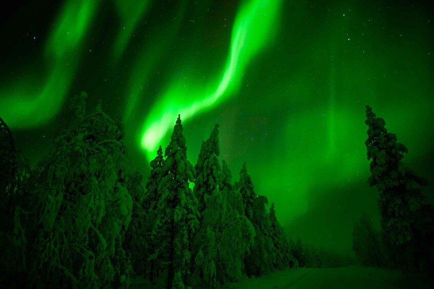 Northern Lights Hunting Adventure in Lapland