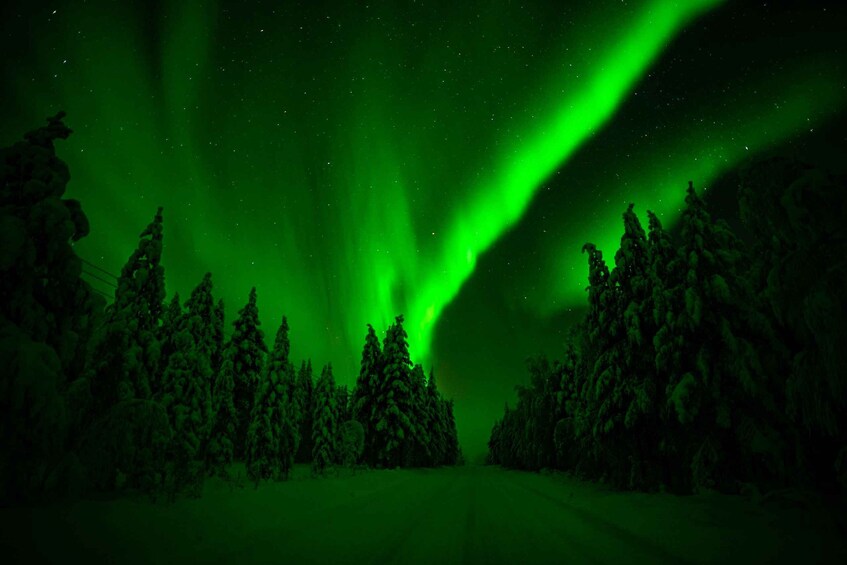 Picture 3 for Activity Northern Lights Hunting Adventure in Lapland