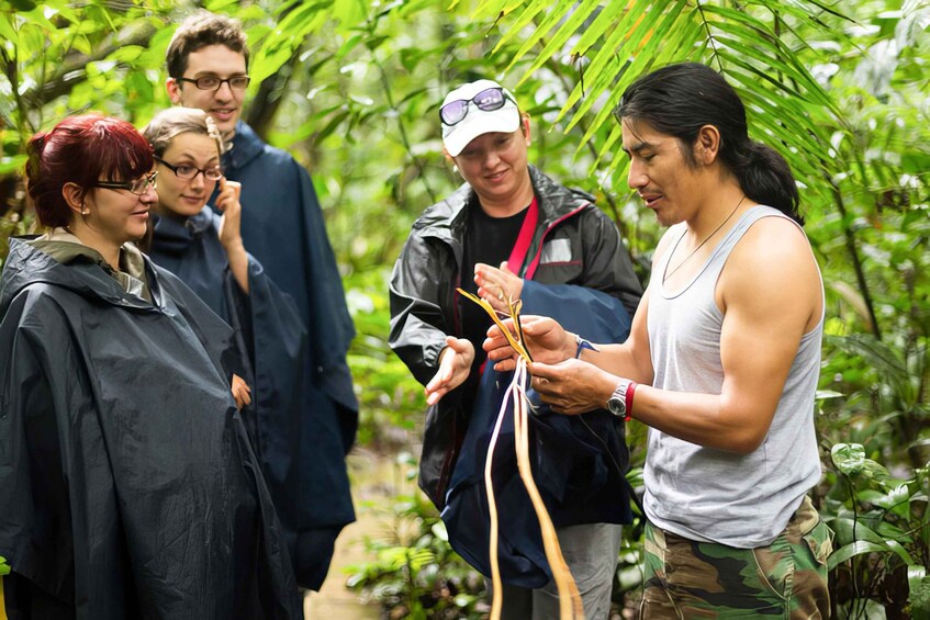 Picture 11 for Activity Private Waterfall, Rainforest & Handcrafted Chocolate Tour