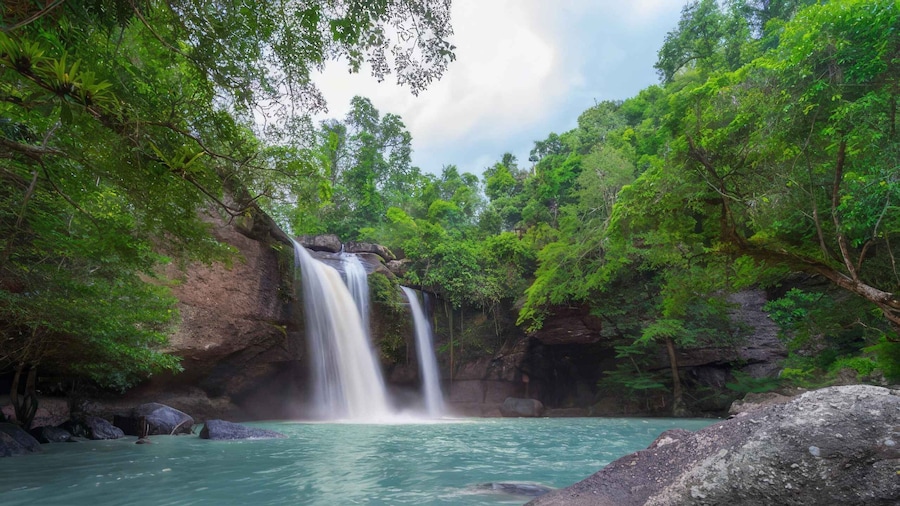 Private Waterfall, Rainforest & Handcrafted Chocolate Tour