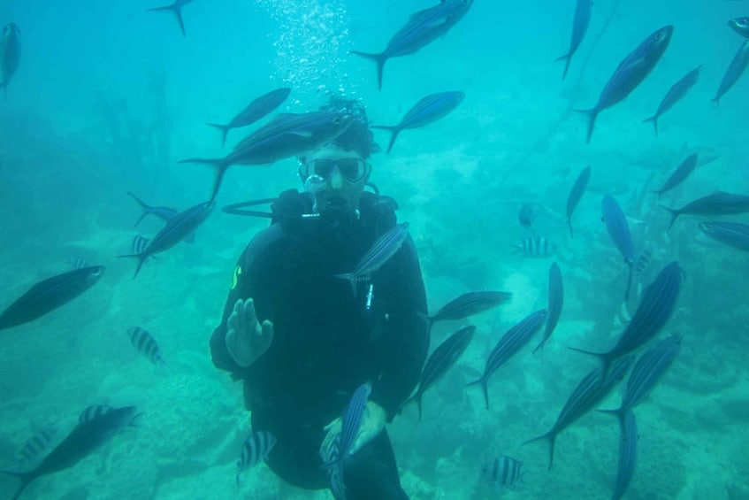 Picture 10 for Activity 3-Hour Sinbad Submarine Red Sea Tour from Hurghada