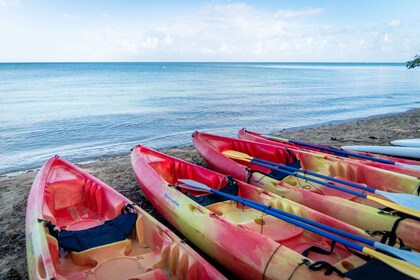 Kayak Rental
