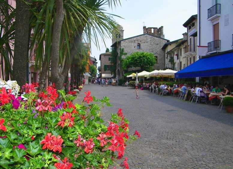 Picture 1 for Activity Sirmione private tour: on the shores of lake Garda