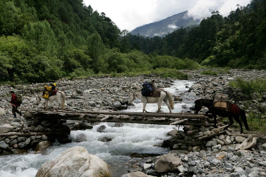 Picture 9 for Activity Bhutan: 9 Day All Inclusive Himalayan Kingdom of Bhutan Tour