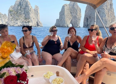 From Capri: Capri Private Boat Tour