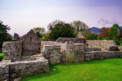 Killarney: Guided Boat Tour to Innisfallen Island